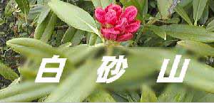 �悤���������R�ցI