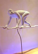 類人猿：プロコンスル