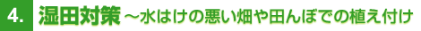 種まき