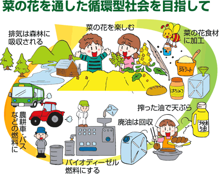 菜の花で作る循環型社会